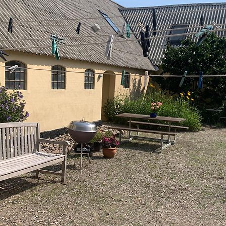 Stutteri Ahl Near Beach And Town Ebeltoft Exteriör bild