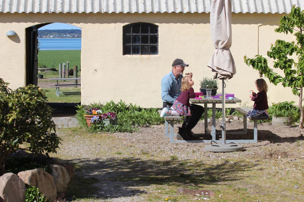 Stutteri Ahl Near Beach And Town Ebeltoft Exteriör bild