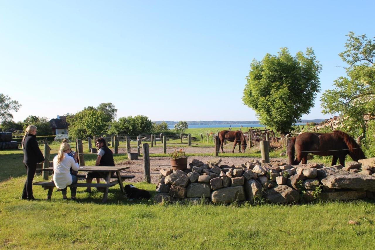 Stutteri Ahl Near Beach And Town Ebeltoft Exteriör bild