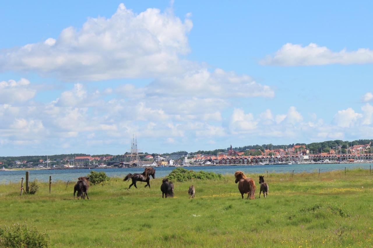 Stutteri Ahl Near Beach And Town Ebeltoft Exteriör bild